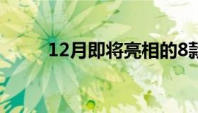 12月即将亮相的8款热门新能源车