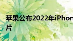 苹果公布2022年iPhone宏挑战大赛的获奖图片