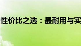 性价比之选：最耐用与实用的笔记本电脑推荐