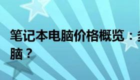 笔记本电脑价格概览：多少钱能买到理想的电脑？